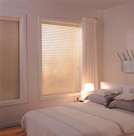 blinds Birch